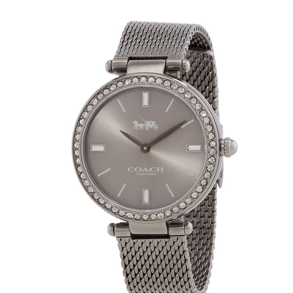 NWT Coach Park Quartz Mesh Strap 34mm Watch